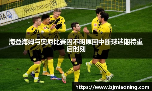海登海姆与奥厄比赛因不明原因中断球迷期待重启时刻
